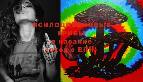 гашик Лагань