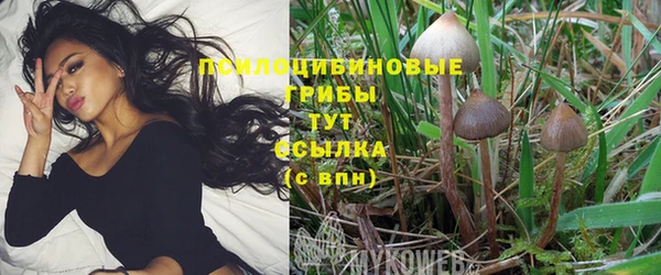 марки lsd Ладушкин