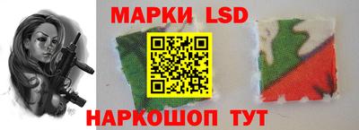 прущие грибы Ирбит