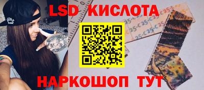 прущие грибы Ирбит