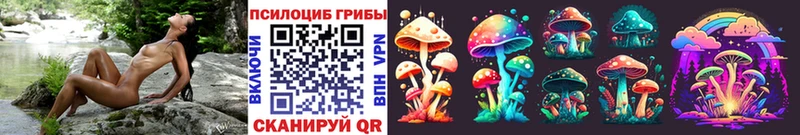 дарк нет состав  ОМГ ОМГ tor  Медногорск  Галлюциногенные грибы Psilocybe 