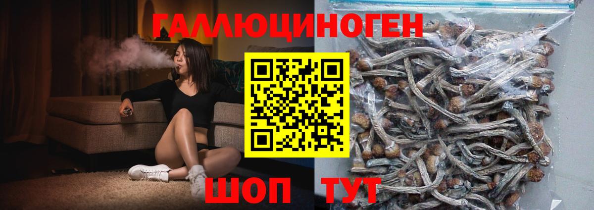 Галлюциногенные грибы Magic Shrooms  Вход с VPN  Медногорск  Псилоцибиновые грибы MAGIC MUSHROOMS 